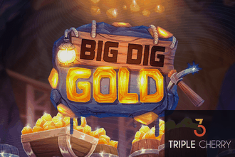 Big Dig Gold